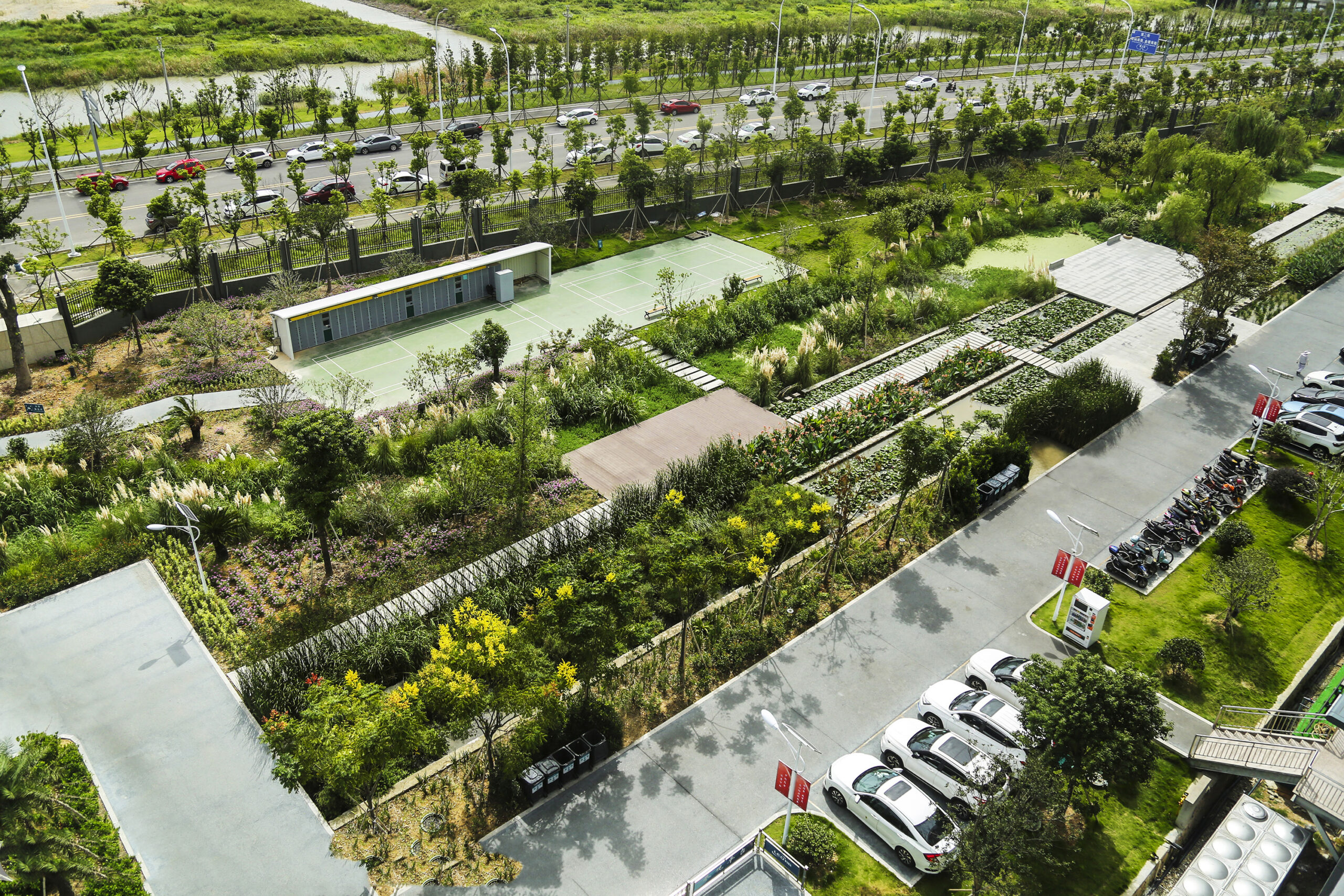 05 Bird-eye view of the wetland areaa