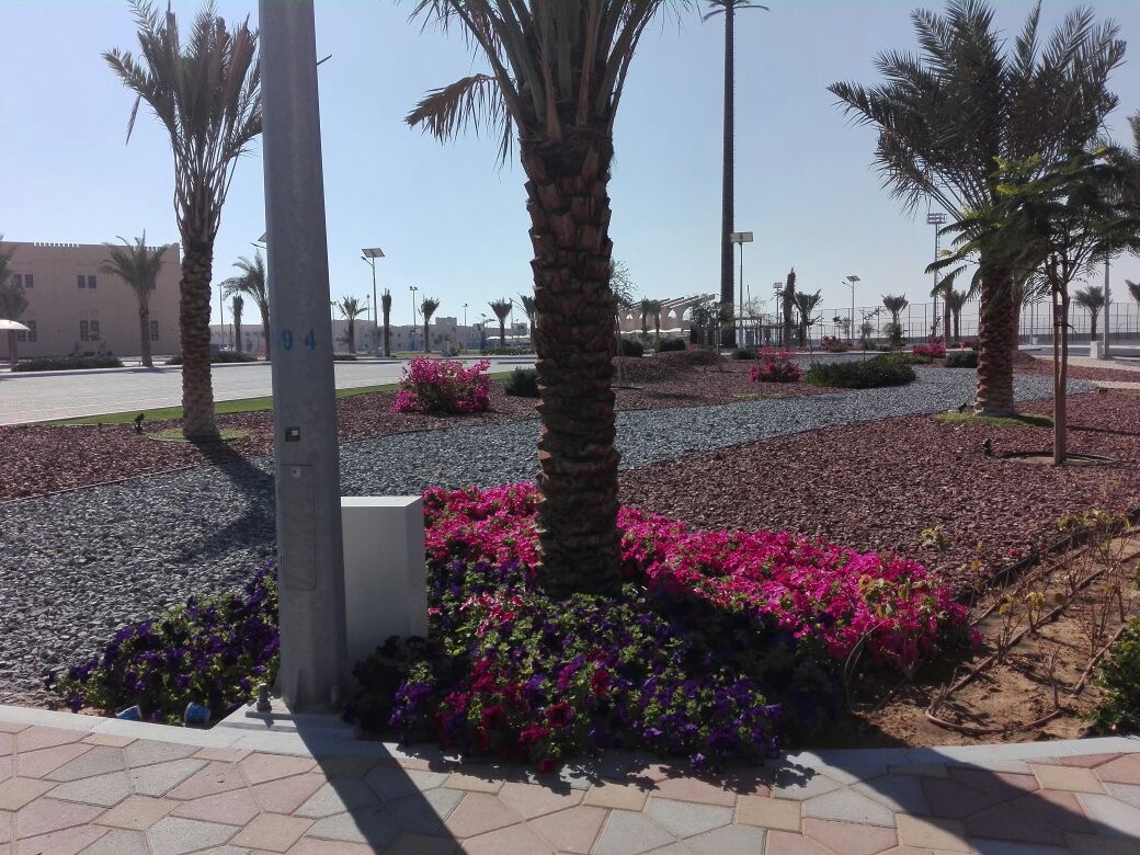 a2a68d41-dd16-40e8-88fa-67b67374c53d