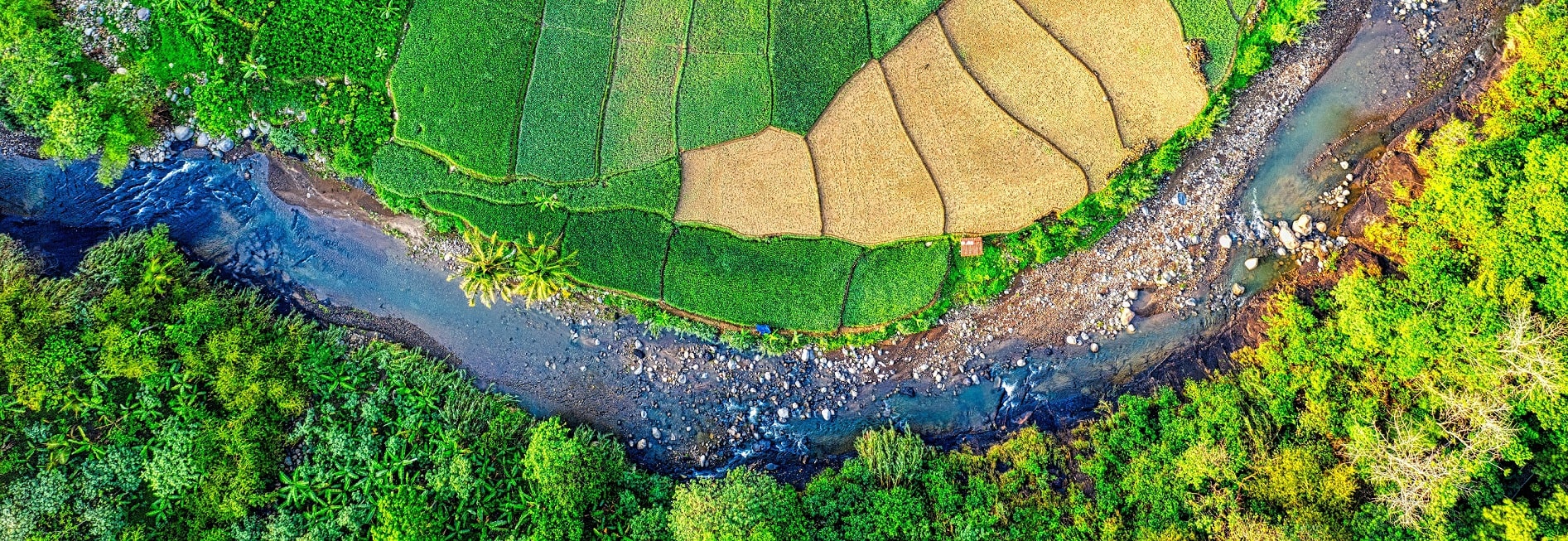 pexels-tom-fisk-3148862 - Copy